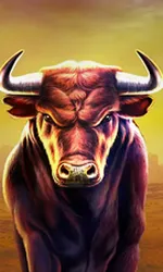 Black Bull